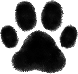 paw