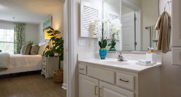 Wildewood Downs | Columbia SC | Villa Apartment Interior Bath 23-01