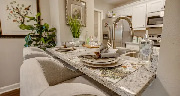 Wildewood Downs | Columbia SC | Villa Apartment Interior Kitchen 26